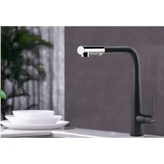 Vòi chậu rửa chén bát Hafele HT20-GH1P259