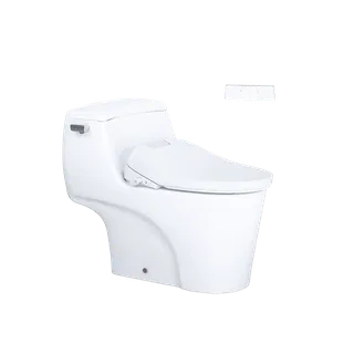 Bồn Cầu 1 khối CAESAR C1353F Nắp Rửa Điện Tử TAF610H
