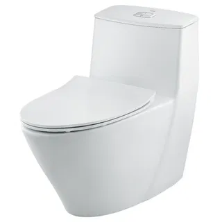 Bồn cầu 1 khối INAX AC-919VRN (AC919VRN) Aqua Ceramic