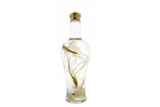 Bình Thủy Tinh Ngâm Rượu Yongcheon Hàn Quốc 750ML MN67