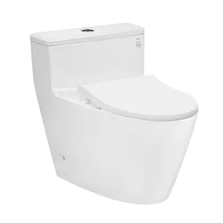 Bồn cầu 1 khối TOTO MS625DE4#XW nắp rửa TCW1211A