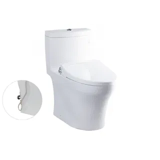 Bồn cầu 1 khối TOTO MS889DRE2 nắp rửa TCW07S