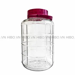 Bình Thủy Tinh 10 Lít Nắp Nhựa Quai Xách