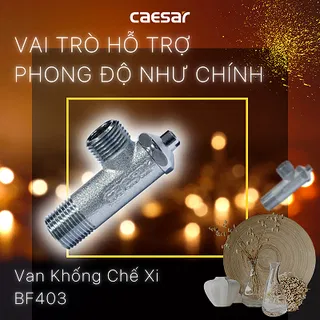Van khống chế Caesar BF403 xi