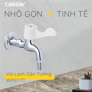 Vòi gắn tường Caesar WP027C