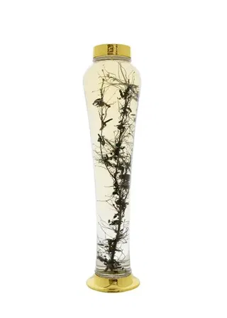 Bình Thủy Tinh Ngâm Rượu Yongcheon Hàn Quốc 5 lít MN24