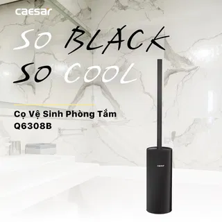 Cọ vệ sinh bàn cầu Caesar Q6308B màu đen
