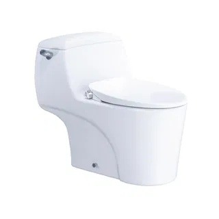 Bồn cầu 1 khối Caesar C1353F nắp rửa cơ TAF060