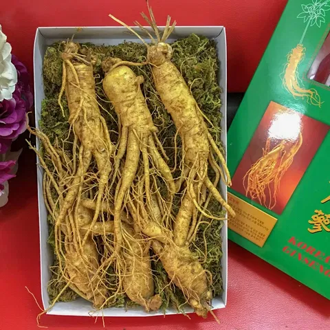 Phân Biệt Các Loại Nhân Sâm (Sâm Triều Tiên, Sâm Ngọc Linh, Sâm Trường Bạch)