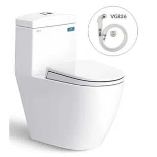 Bồn cầu 1 khối Viglacera V199 + Xịt VG826 + Van VG853