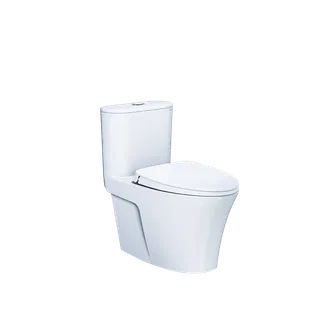 Bồn cầu 1 khối Caesar C1395