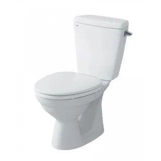 Bồn cầu 2 khối INAX C-117VAN xả gạt nắp êm (C117VAN)