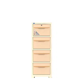 Tủ nhựa Duy Tân SAKE 2 - 4N No.H051/4