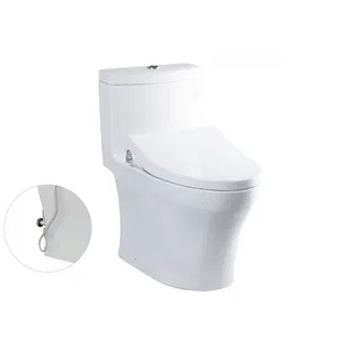 Bồn cầu 1 khối TOTO MS889DRE4 nắp rửa TCW1211A