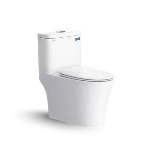 Bồn cầu 1 khối Viglacera V63