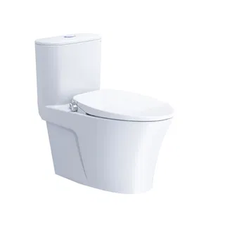 Bồn cầu 1 khối Caesar CD1395F nắp rửa cơ TAF060