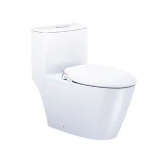 Bồn cầu 1 khối Caesar C1363F nắp rửa cơ TAF060