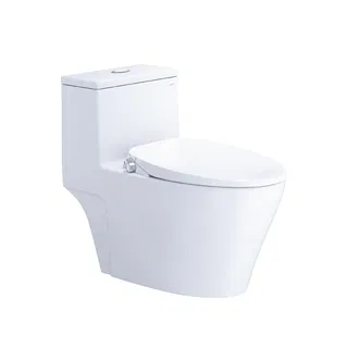 Bồn cầu 1 khối Caesar CD1356F nắp rửa cơ TAF060