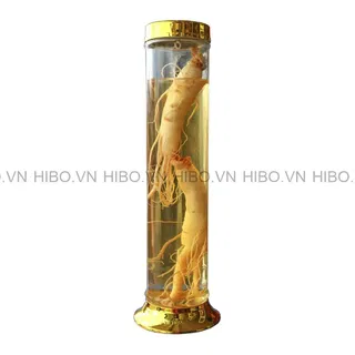 Bình Thủy Tinh Phú Hòa 1.18 Lít