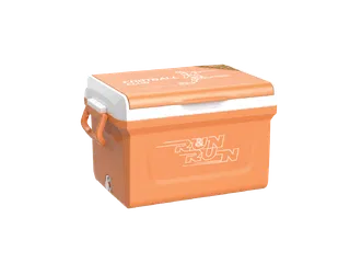 Thùng đá ICY nhựa Duy Tân 35L No.0524
