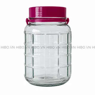 Bình Thủy Tinh 5 Lít Nắp Nhựa Quai Xách
