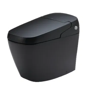 Bồn Cầu Thông Minh INAX SATIS G AC-G216VN/BKG (ACG216VN/BKG)
