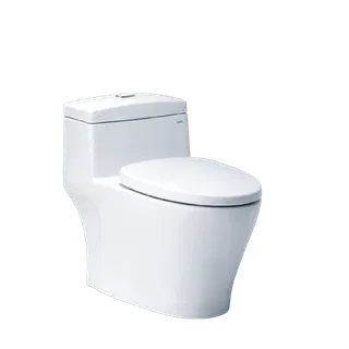 Bồn cầu 1 khối Caesar C1356