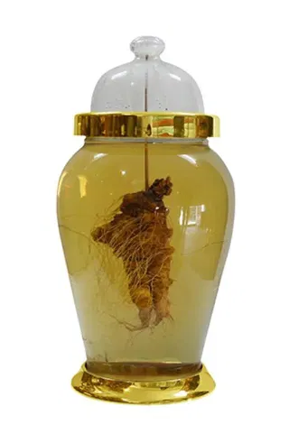 Bình Thủy Tinh Ngâm Rượu Yongcheon Hàn Quốc 18L AF05