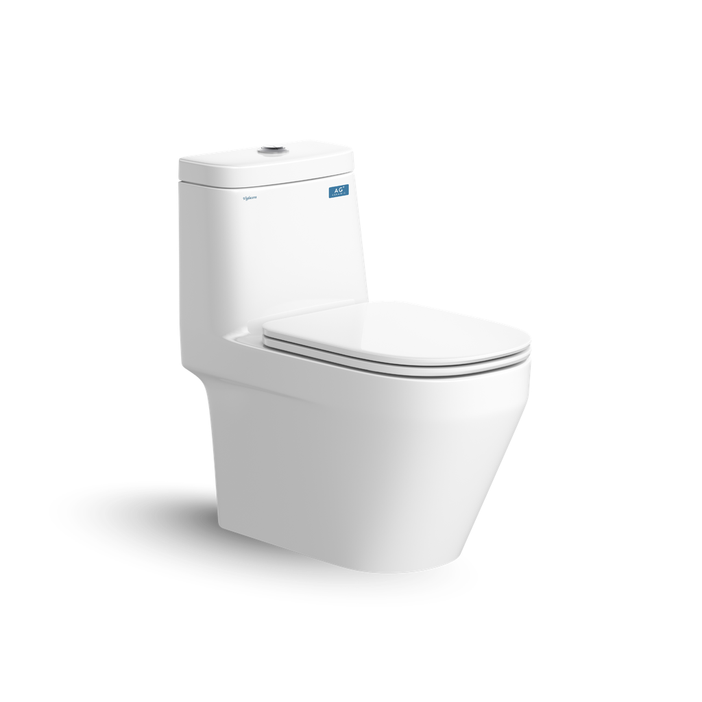 Bồn cầu 1 khối Viglacera V68