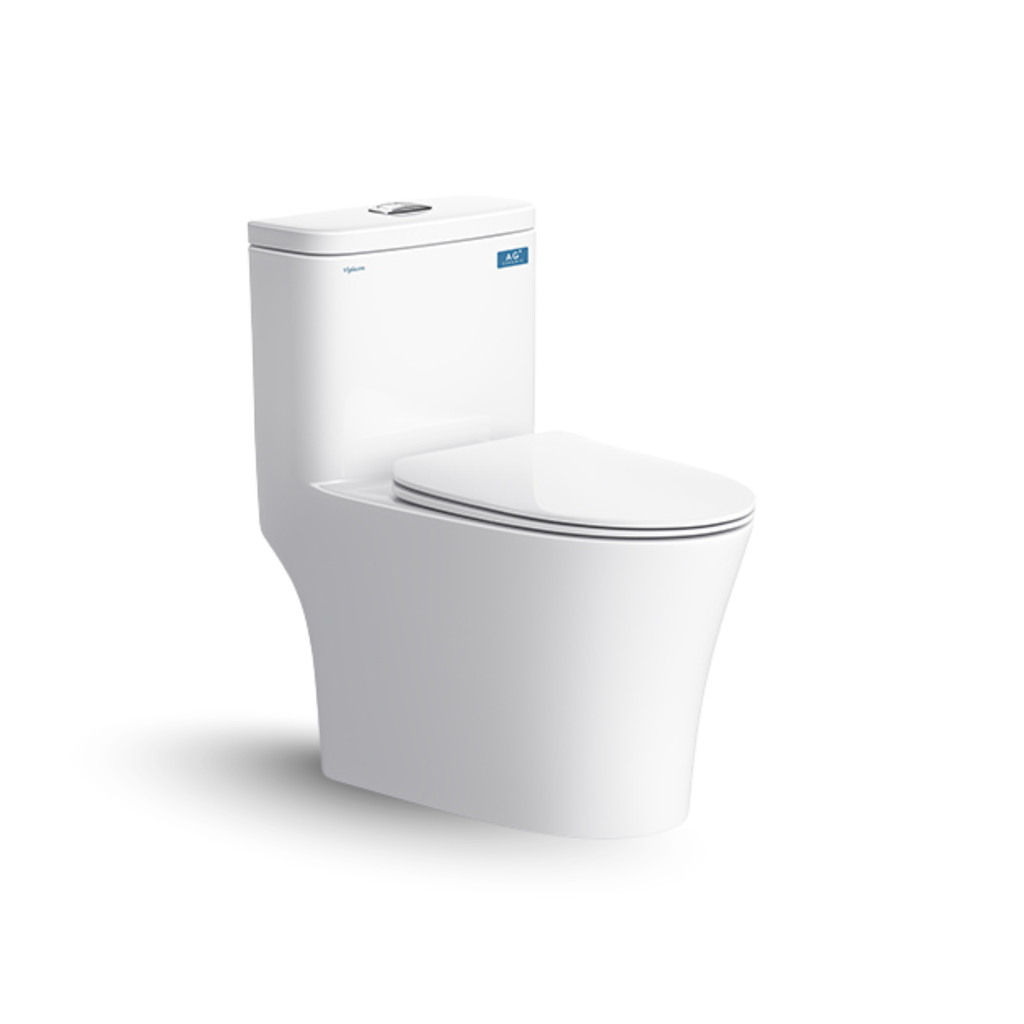 Bồn cầu 1 khối Viglacera V63