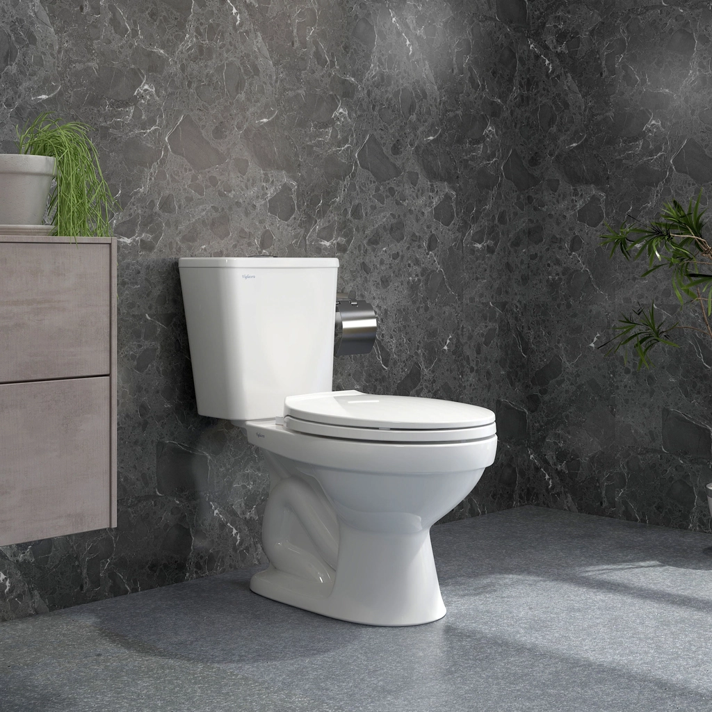 Bàn cầu hai khối Viglacera V716